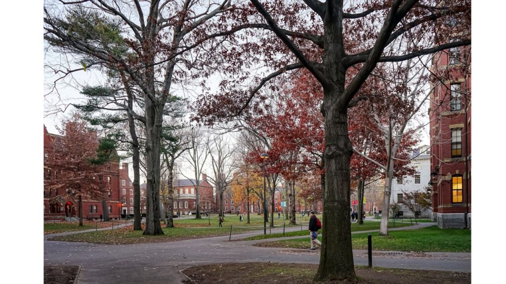 Harvard Yard