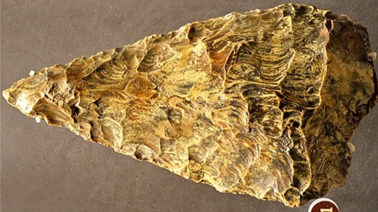 Prehistoric Stone Hand Axe